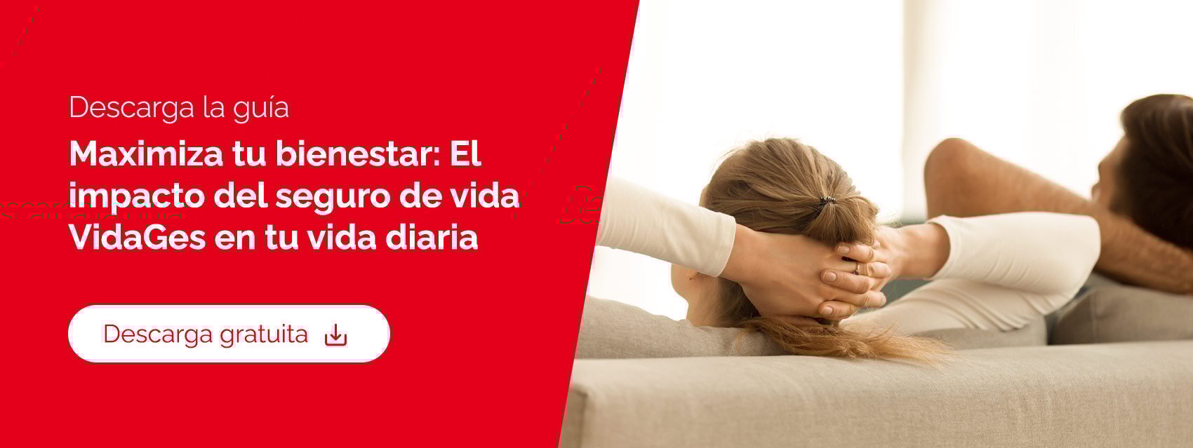VidaGes maximiza tu bienestar en tu vida diaria 